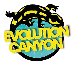 Evolution Canyon