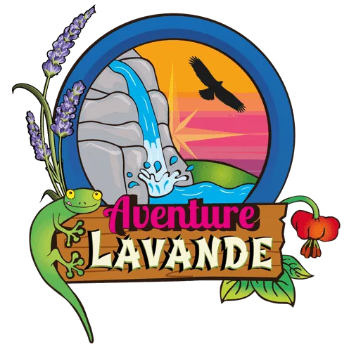 Aventure Lavande