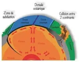Tectonique des plaques
