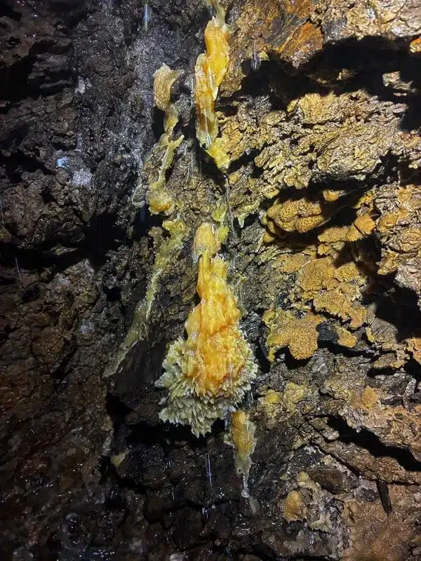 Concretions de calcite dans une grotte du Dévoluy