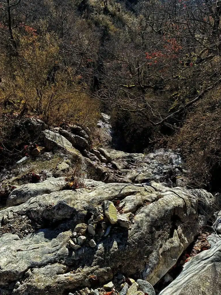 Des fossiles incrustés dans des blocs de calcaire