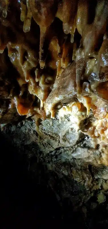 des petites stalactites au plafond d'une cavité naturelle à Sisteron