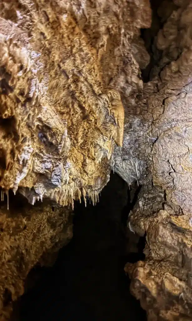 Gros plan sur des formations rocheuses de grotte, avec des stalactites pendant du plafond et des stalagmites à leur base, dans des tons de brun et de gris.